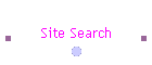 Site Search